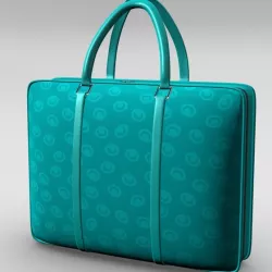 Ladies Handbag
