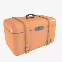 Leather Bag