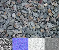 Live Stone