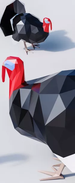 Lowpoly Turkey