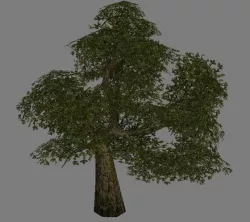 Model Arena game Jungle Area - Tree 01