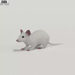 Mouse White