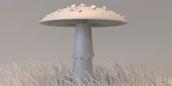 Mushroom