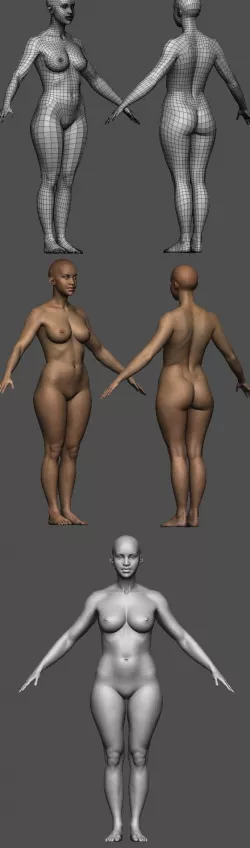 Realistic Female body