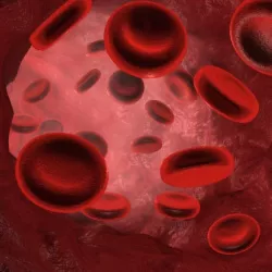 Red Blood cells