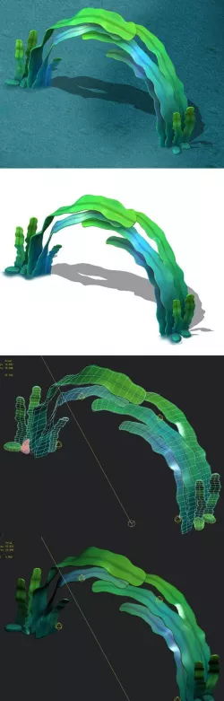 Seaside Cartoon World - Seaweed Arches