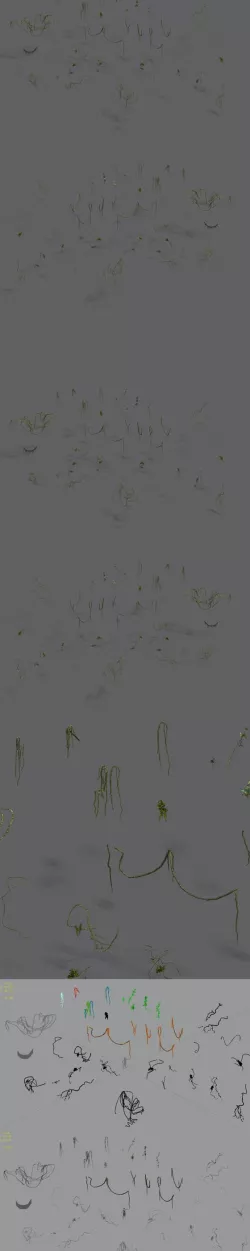 Shushan - vines