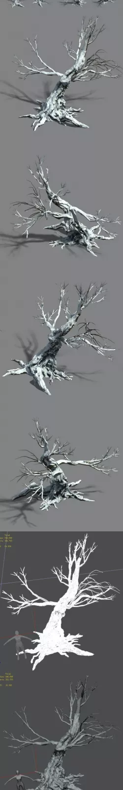 Snow - dead tree 1