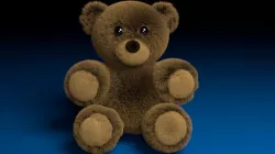 Teddy bear