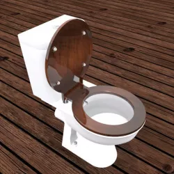 Toilet seat with bidet