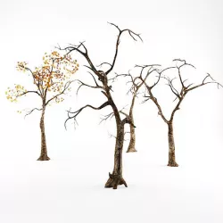 Trees Low-poly
