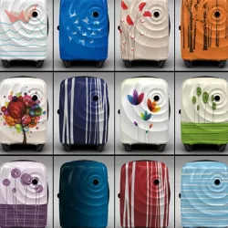 Trolley Suitcase Bag