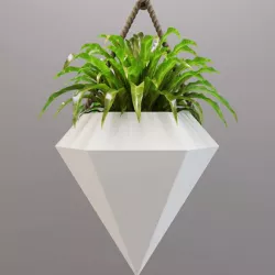 Vase diamond with a small plant