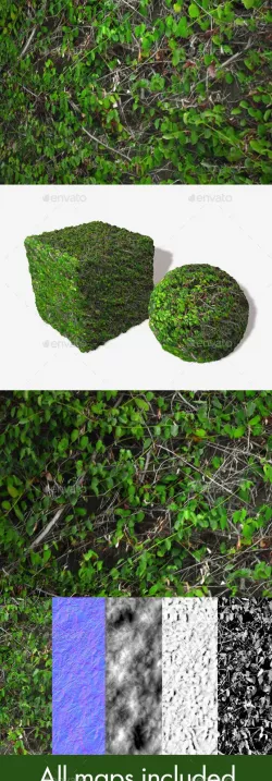 Wall Climbers Seamless Texture