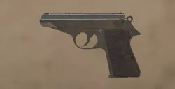 Walther PP pistol