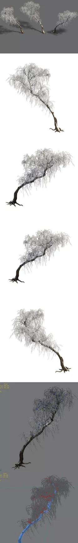 Winter snow - tree