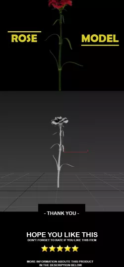 3D Model - Rose