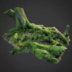 3d scanned nature forest roots 005