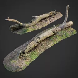 3d scanned nature forest roots 007