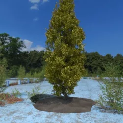 3D Tree