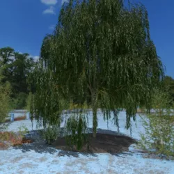 3D Tree