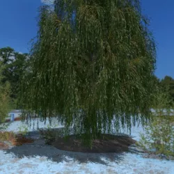 3D Tree