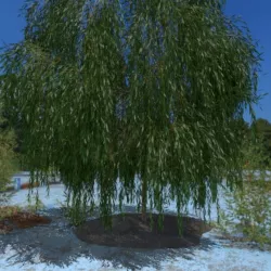 3D Tree