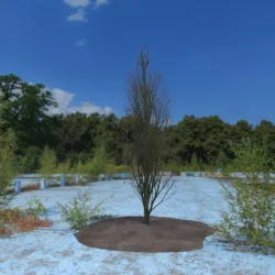 3D Tree