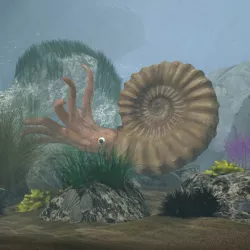 Ammonite with complete underwater scene