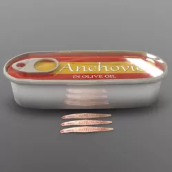 Anchovy