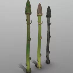 Asparagus