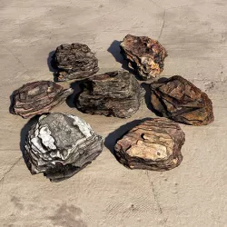 Bark Chips 3D Scan