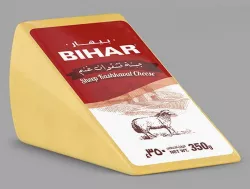 Bihar Cheese - Big Tiangle
