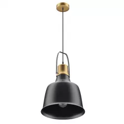 Black and Gold Ceiling Lamp