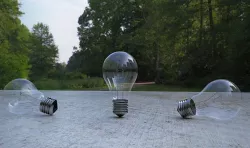 Bulb