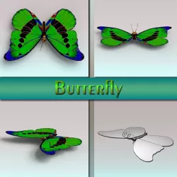 Butterfly