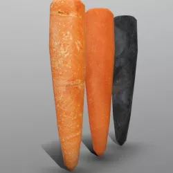 Carrot