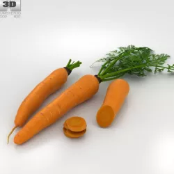 Carrot