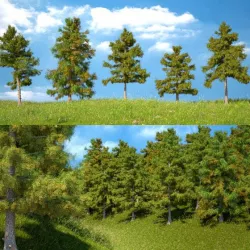 Cedar Tree Collection (5 Models)