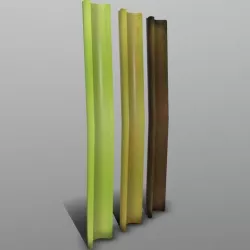 Celery