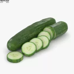 Cucumber