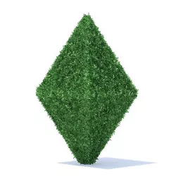 Diamond Shaped Hedge