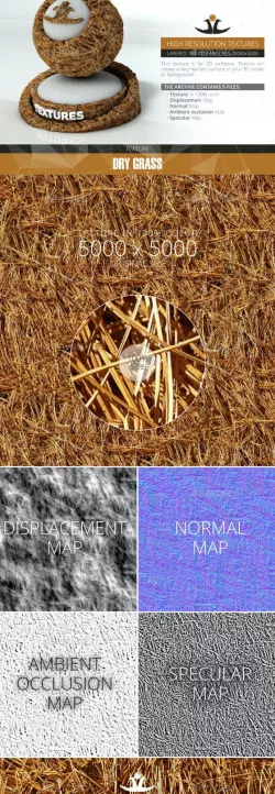 Dry Grass 2