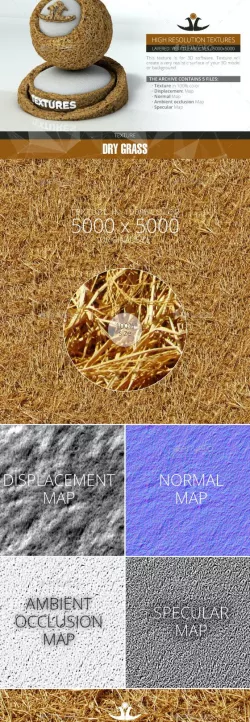 Dry Grass 3