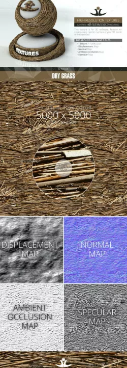 Dry Grass 4