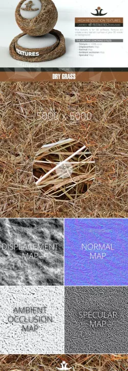 Dry Grass