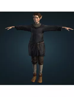 Elfa