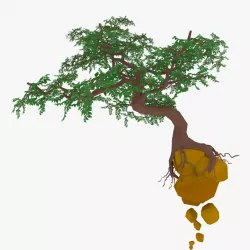 Float Cartoon Tree 3D model