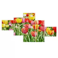 Flower Wall Pictures 3D Model