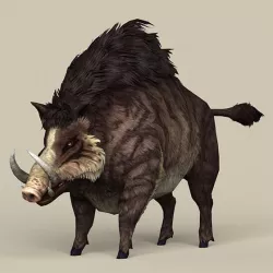 Game Ready Fantasy Boar